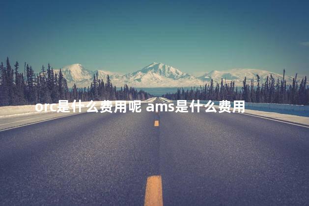 orc是什么费用呢 ams是什么费用